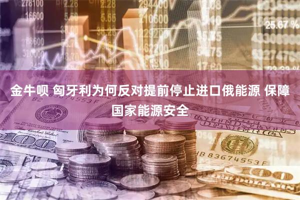 金牛呗 匈牙利为何反对提前停止进口俄能源 保障国家能源安全