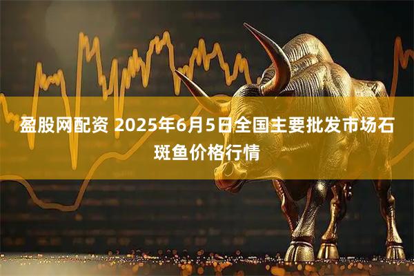 盈股网配资 2025年6月5日全国主要批发市场石斑鱼价格行情