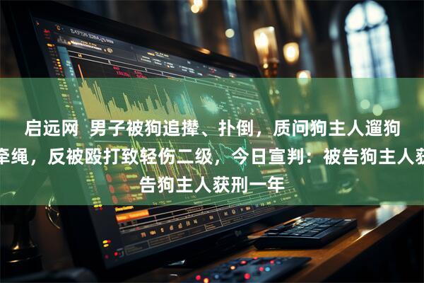 启远网  男子被狗追撵、扑倒，质问狗主人遛狗为何不牵绳，反被殴打致轻伤二级，今日宣判：被告狗主人获刑一年