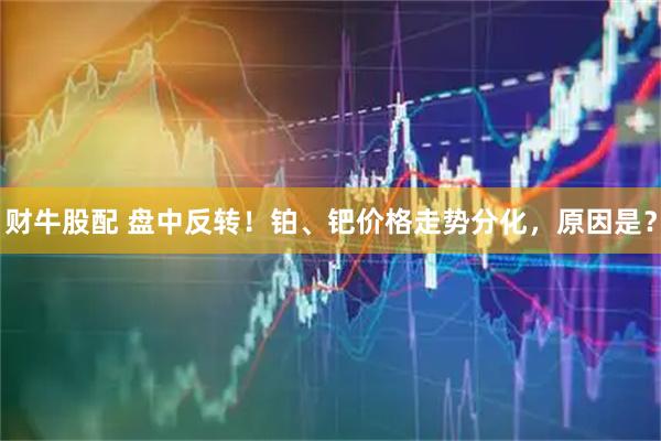 财牛股配 盘中反转！铂、钯价格走势分化，原因是？